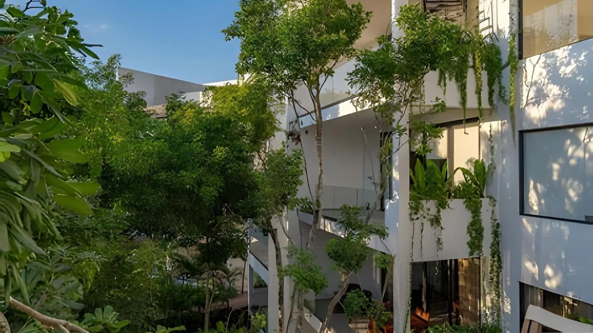 Oasis Yaaxlum Villa Tulum Mexico