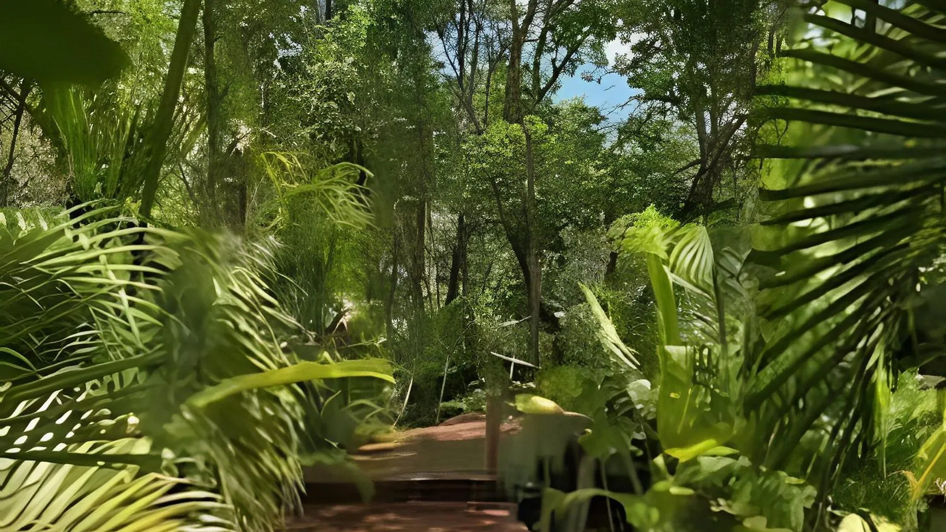 Holiday home Oasis Yaaxlum Villa Tulum